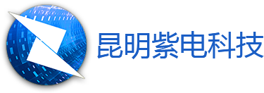 紫电logo